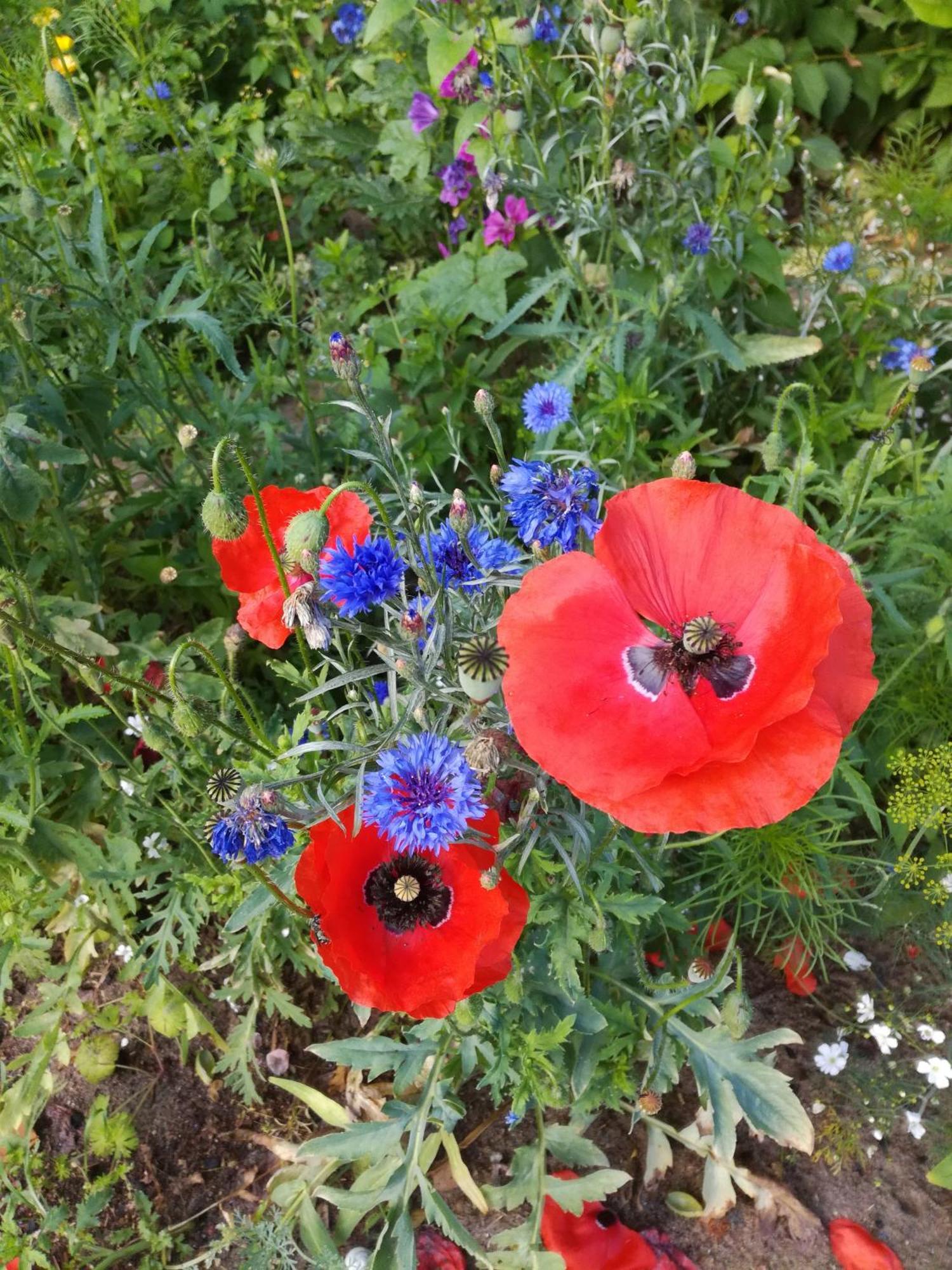 Warthe - Mitten In Der Natur מראה חיצוני תמונה